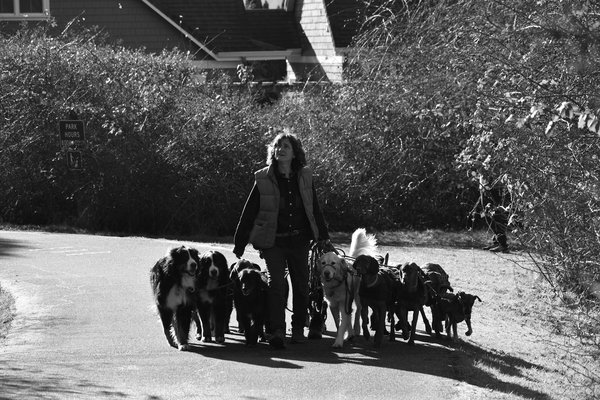 Comment maintenir un poids sain pour votre chien